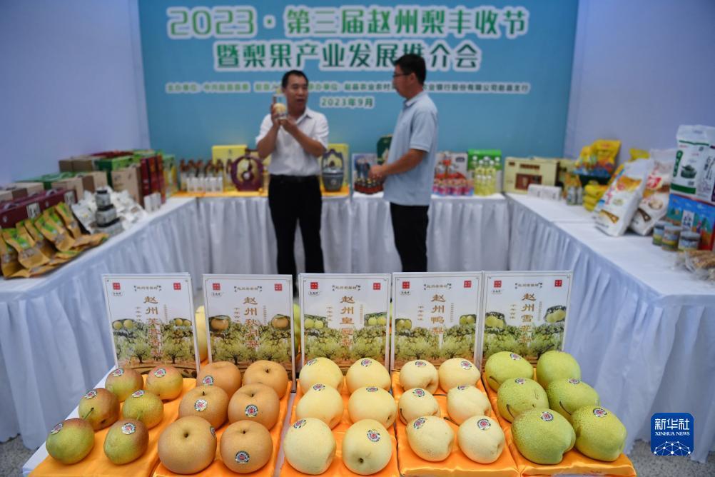 大发官网入口